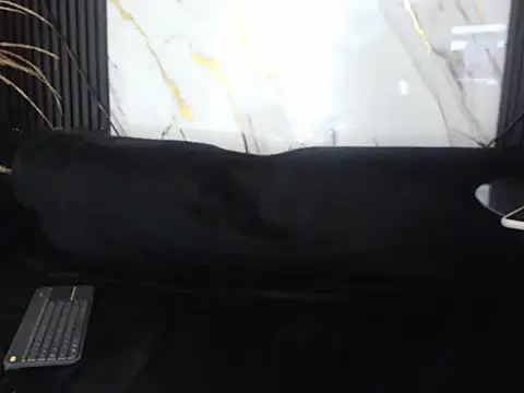 Snapshot of brihansexx chatting on 18, 11, 2025 brihansexx online show from 18, 11, 2025