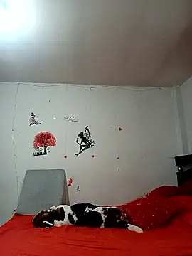 Lady 16 online show from 6, 1, 2026