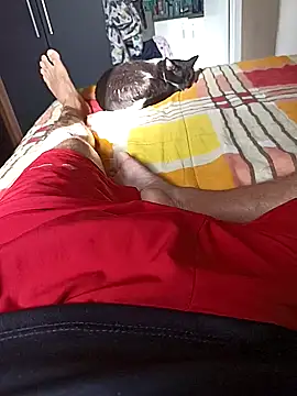 comobucetinhas online show from 14, 11, 2025