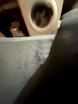 lapousse3 online show from 25, 9, 2025