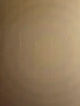 pegaso369 online show from 16, 12, 2025