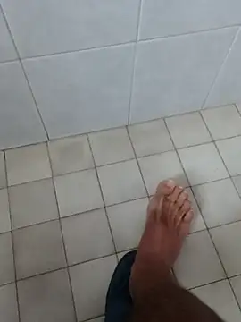 pegaso369 online show from 20, 11, 2025