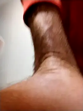 pegaso369 online show from 10, 3, 2026