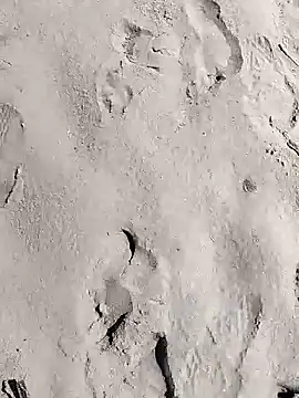 pegaso369 online show from 28, 3, 2026