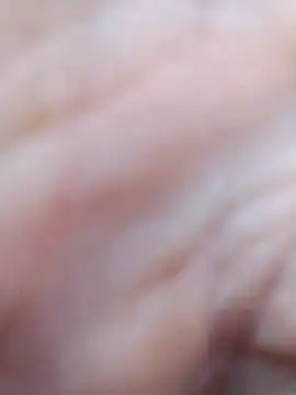 pegaso369 online show from 7, 3, 2026