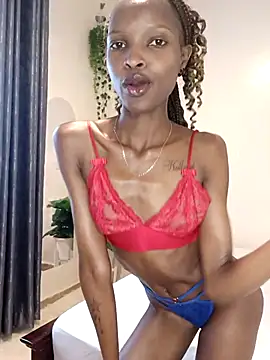 Nedambale online show from 11, 2, 2026