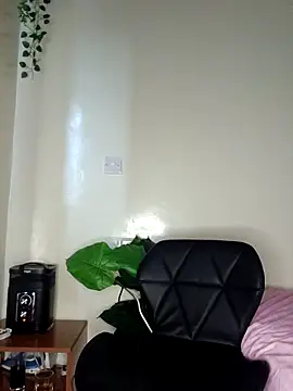 Nedambale online show from 2, 4, 2026