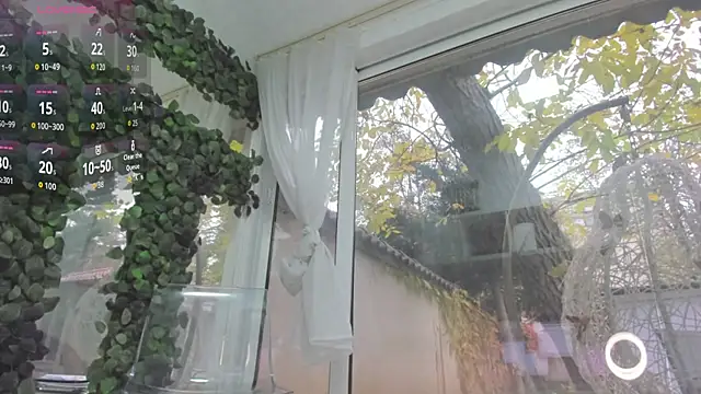 Lexi Storm online show from 16, 11, 2025