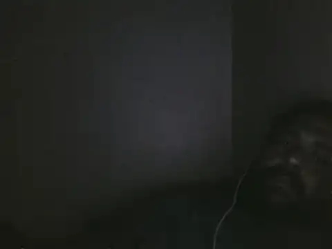 elpoop7305 online show from 9, 1, 2026