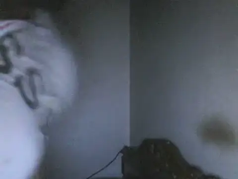 elpoop7305 online show from 18, 5, 2026