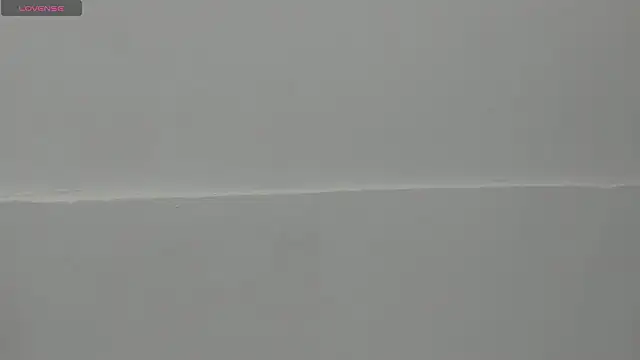 VioletRose as online show from 11, 2, 2026