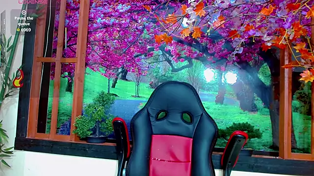 bayolet  online show from 3, 12, 2025