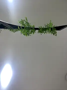 CharlotteBrownn  online show from 25, 10, 2025