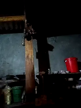 CoMay003 online show from 15, 2, 2026