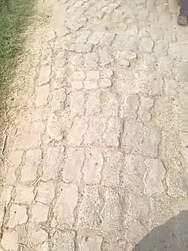 Snapshot of Bio-teacher chatting on 12, 10, 2025 Bio-teacher online show from 12, 10, 2025