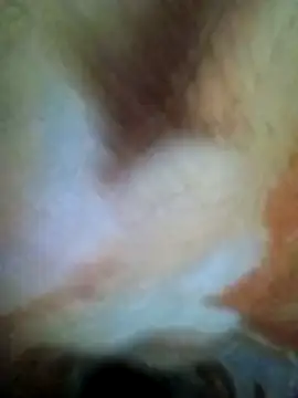 HOT-MUNDA online show from 17, 12, 2025