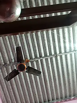 Cute-Swewty online show from 18, 11, 2025