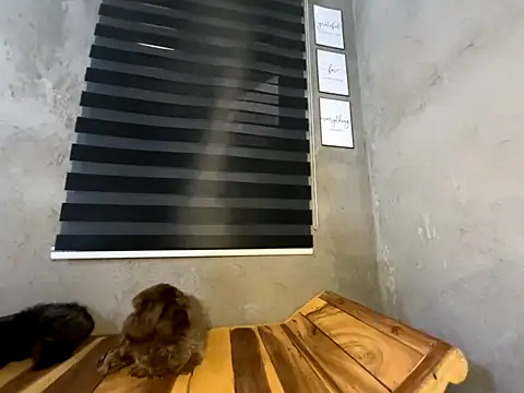 wild apple69 online show from 15, 12, 2025