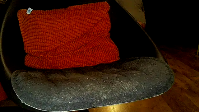 Snapshot of TobyDick13 chatting on 23, 11, 2025 TobyDick13 online show from 23, 11, 2025