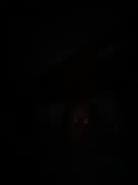 philefc online show from 27, 9, 2025