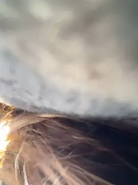   BabyShowPublic   online show from 28, 3, 2026