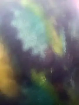 Juhi chawla online show from 18, 11, 2025