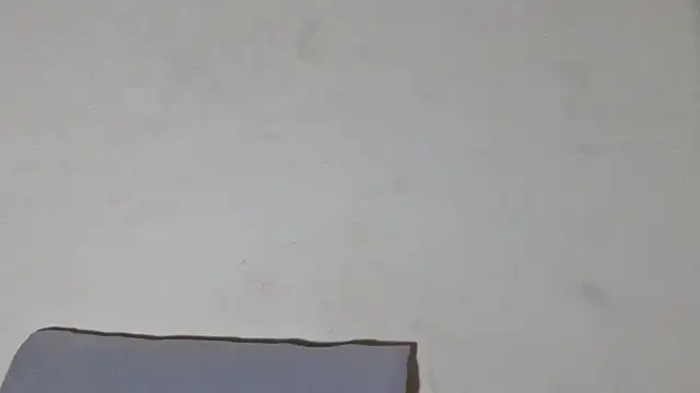 SexyBitchx01 online show from 26, 11, 2025