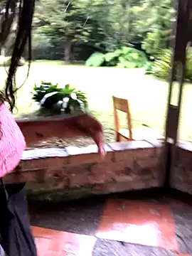 SophiaGuzman online show from 11, 10, 2025