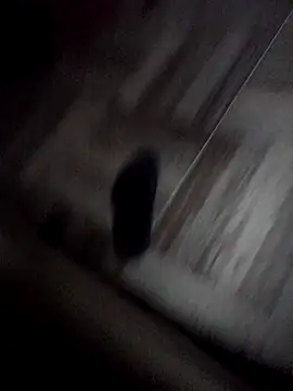 Girls add snap srdjanbgd online show from 8, 11, 2025