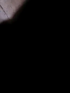 princexdcs online show from 6, 2, 2026