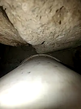 princexdcs online show from 10, 2, 2026