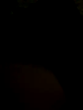 gaabpxn online show from 2, 12, 2025