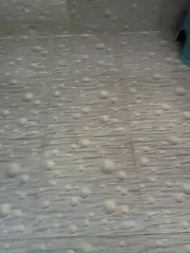 NoddingScorpion online show from 10, 2, 2026