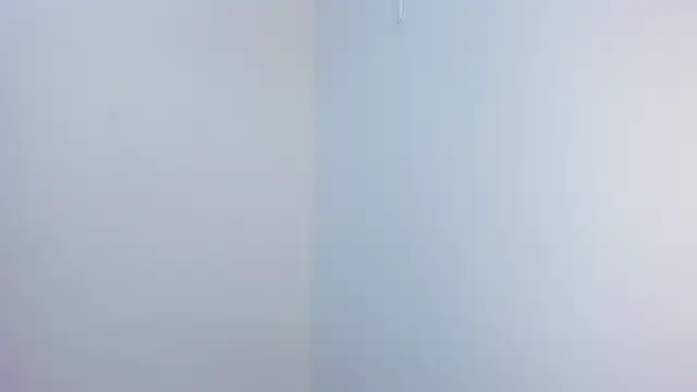 stephane rouss online show from 18, 11, 2025