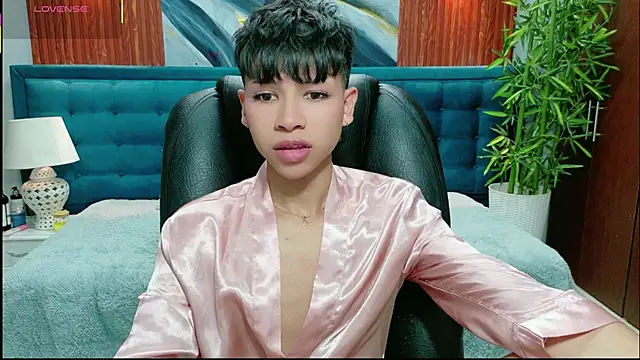 dilan 911 online show from 13, 2, 2026