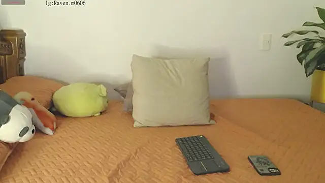 Raven06  online show from 11, 11, 2025