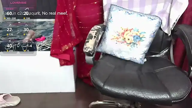 Prince ki Princess online show from 20, 12, 2025