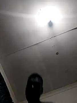 TmanZim2025 online show from 14, 4, 2026