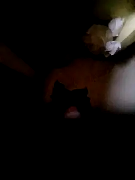 Vizgeboys online show from 16, 10, 2025