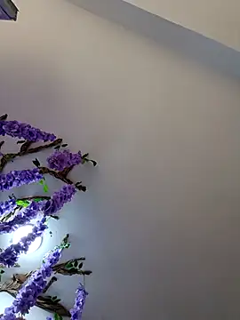 burbuja02 online show from 5, 4, 2026