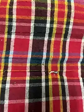 Snapshot of hamstar09 chatting on 17, 10, 2025 hamstar09 online show from 17, 10, 2025