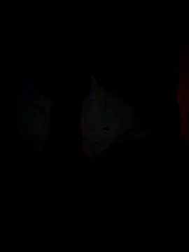 Chathutharu online show from 20, 2, 2026