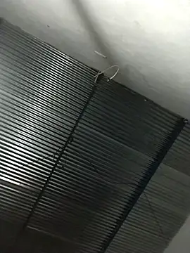 lucerocutte online show from 16, 11, 2025