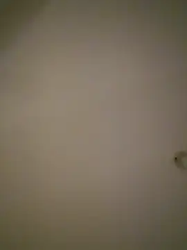 Snapshot of LUISSLEONN0958 chatting on 9, 11, 2025 LUISSLEONN0958 online show from 9, 11, 2025