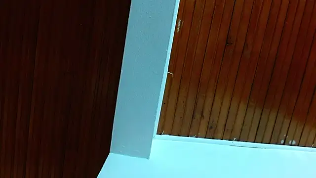 shelbygp online show from 5, 3, 2026