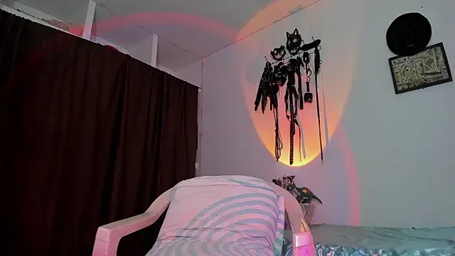 dex 55 online show from 2, 4, 2026