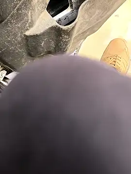 rajdehli online show from 11, 3, 2026