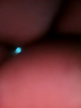 Suhana pandit online show from 12, 11, 2025