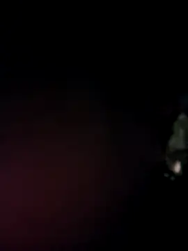 Suhana pandit online show from 12, 10, 2025