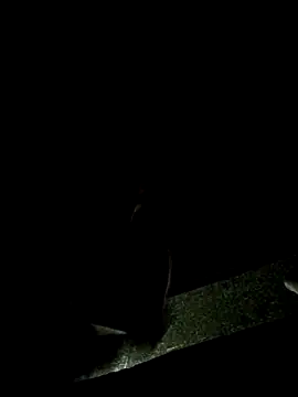 Lawrence067 online show from 4, 11, 2025